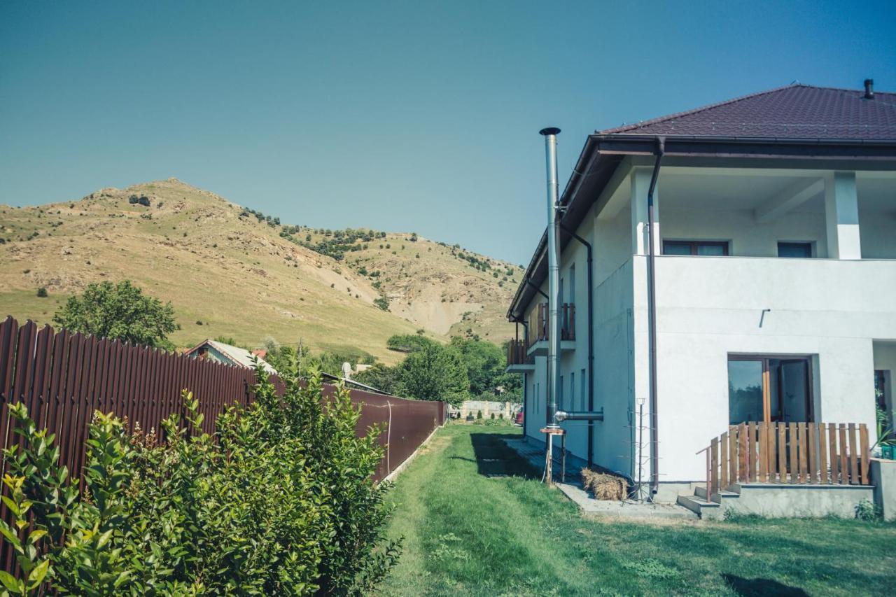 Pensiunea La Nenea Iancu Greci 外观 照片