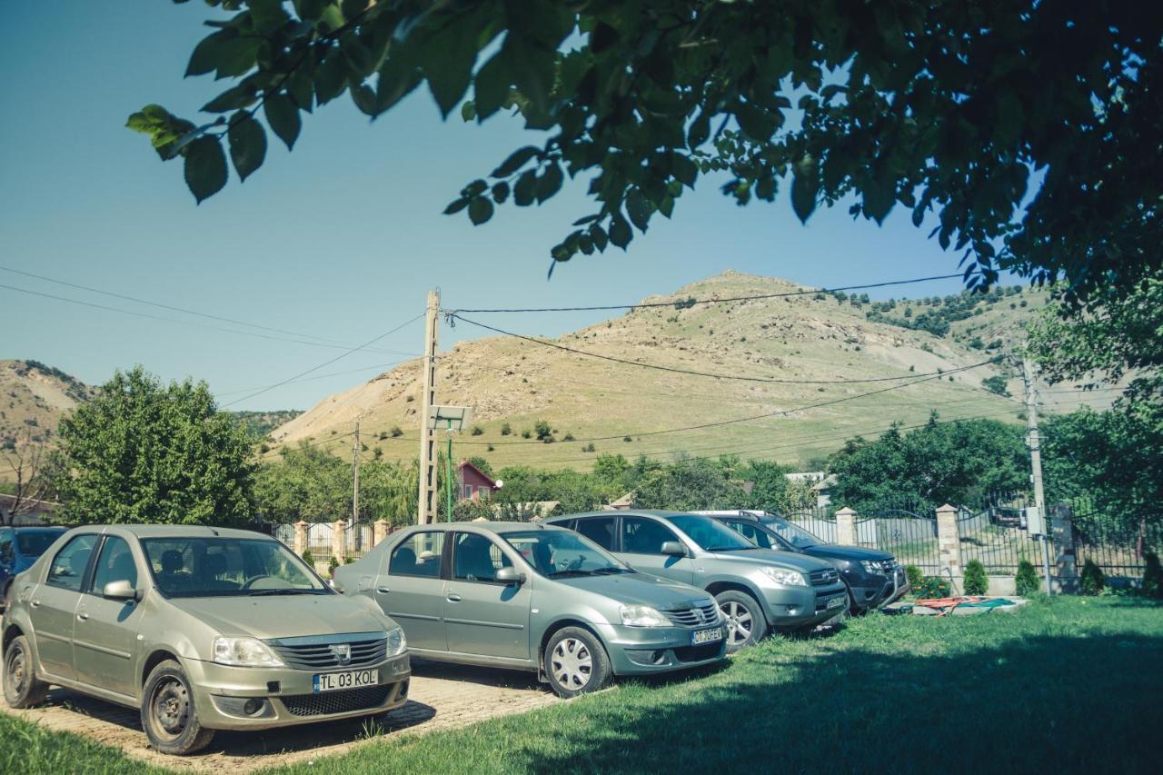 Pensiunea La Nenea Iancu Greci 外观 照片