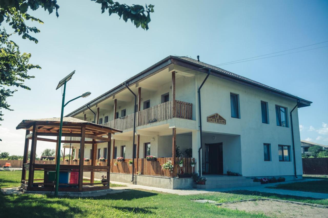 Pensiunea La Nenea Iancu Greci 外观 照片
